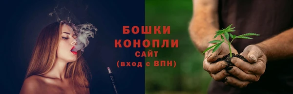 ГАЛЛЮЦИНОГЕННЫЕ ГРИБЫ Покачи