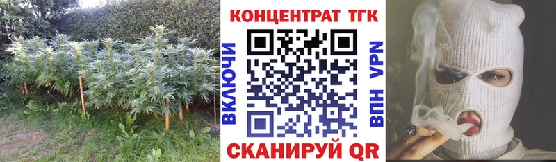 что такое   Пласт  Дистиллят ТГК концентрат 