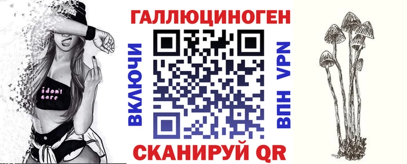 купить наркотик  Пласт  Псилоцибиновые грибы Psilocybine cubensis 